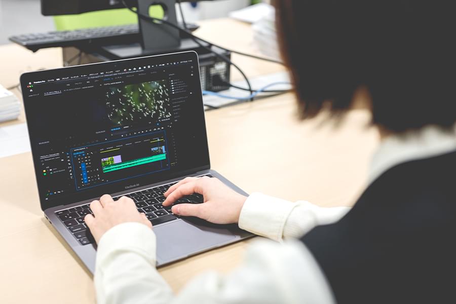 テスト再生・納品